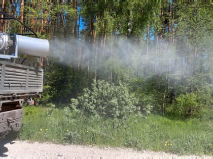 Владимирцам показали, как идет обработка леса от непарного шелкопряда