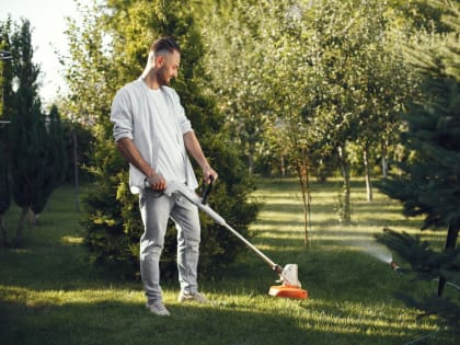 Бригады  занимаются дорогами и газонами