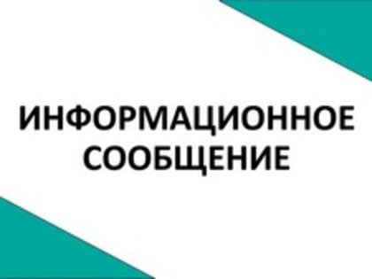 Горячая линия по выборам