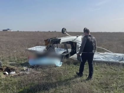 Легкомоторный самолет Украины упал в Брянской области, пилота задержали