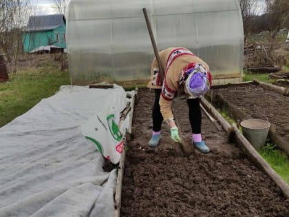 Дачникам запретили приезжать на свои участки