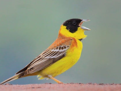 Во Владимирской области синоптики предупредили о "желтом уровне опасности" из- за гололедицы на дорогах