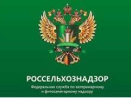 Управлением Россельхознадзора на территории Владимирской, Костромской и Ивановской областей выявлено зарастание земельных участков сельскохозяйственного назначения борщевиком Сосно