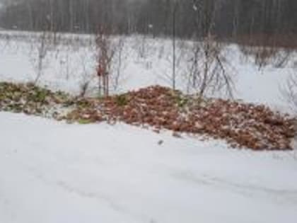 В Костромской области в ходе обследования земельных участков выявлены признаки нарушений земельного законодательства