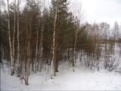 На территории Ивановской области арендатору сельскохозяйственных угодий,  разъяснены требования земельного законодательства