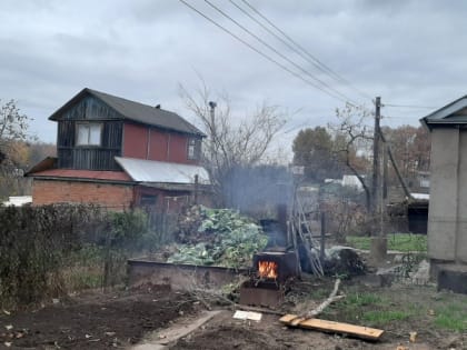 Это самое популярное растение теперь запретили выращивать: дачников ошарашили новым правилом