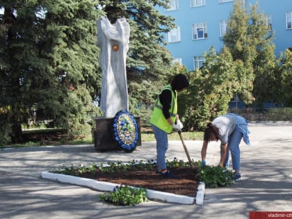 На владимирских клумбах начали высадку первых весенних цветов