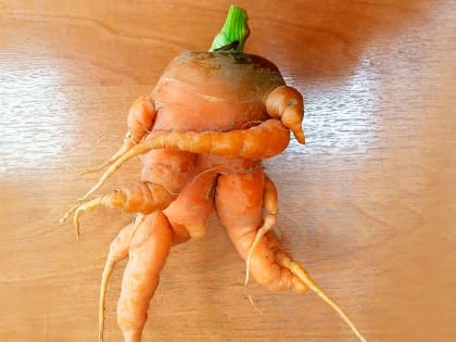 Время подводить итоги сезона