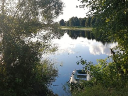 Во Владимирской области очевидцам не удалось спасти утонувшую в озере женщину