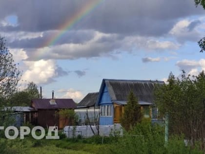 Указ подписан: дачников могут отправить в тюрьму за выращивание этого популярного растения