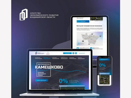 Инвесторов ловят в сети: территория опережающего развития «Камешково» обзавелась новым сайтом