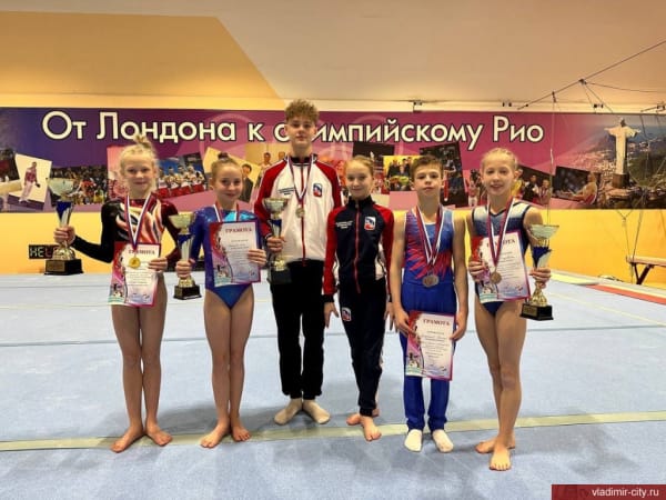 Владимирские юные гимнасты успешно выступили на Всероссийских соревнованиях