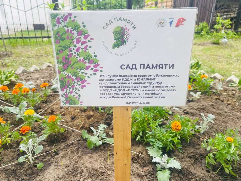 Сад памяти в детском саду. Сад памяти Екатеринбург. Степченко «сад памяти». Международная акция сад памяти 2023.