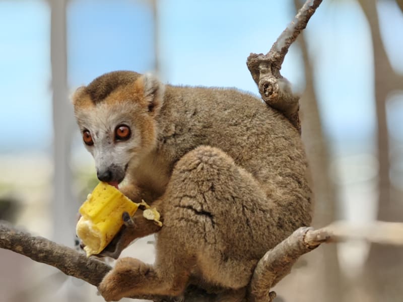 Madagascar 2026 — foto 14