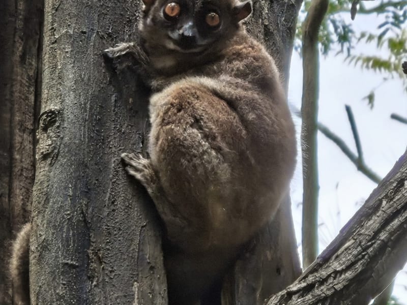 Madagascar 2026 — foto 11