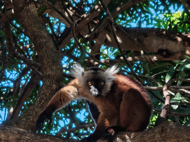 Madagascar 2026 — foto 4