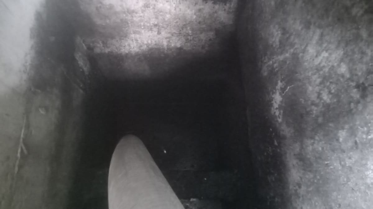 Gallery Image 11