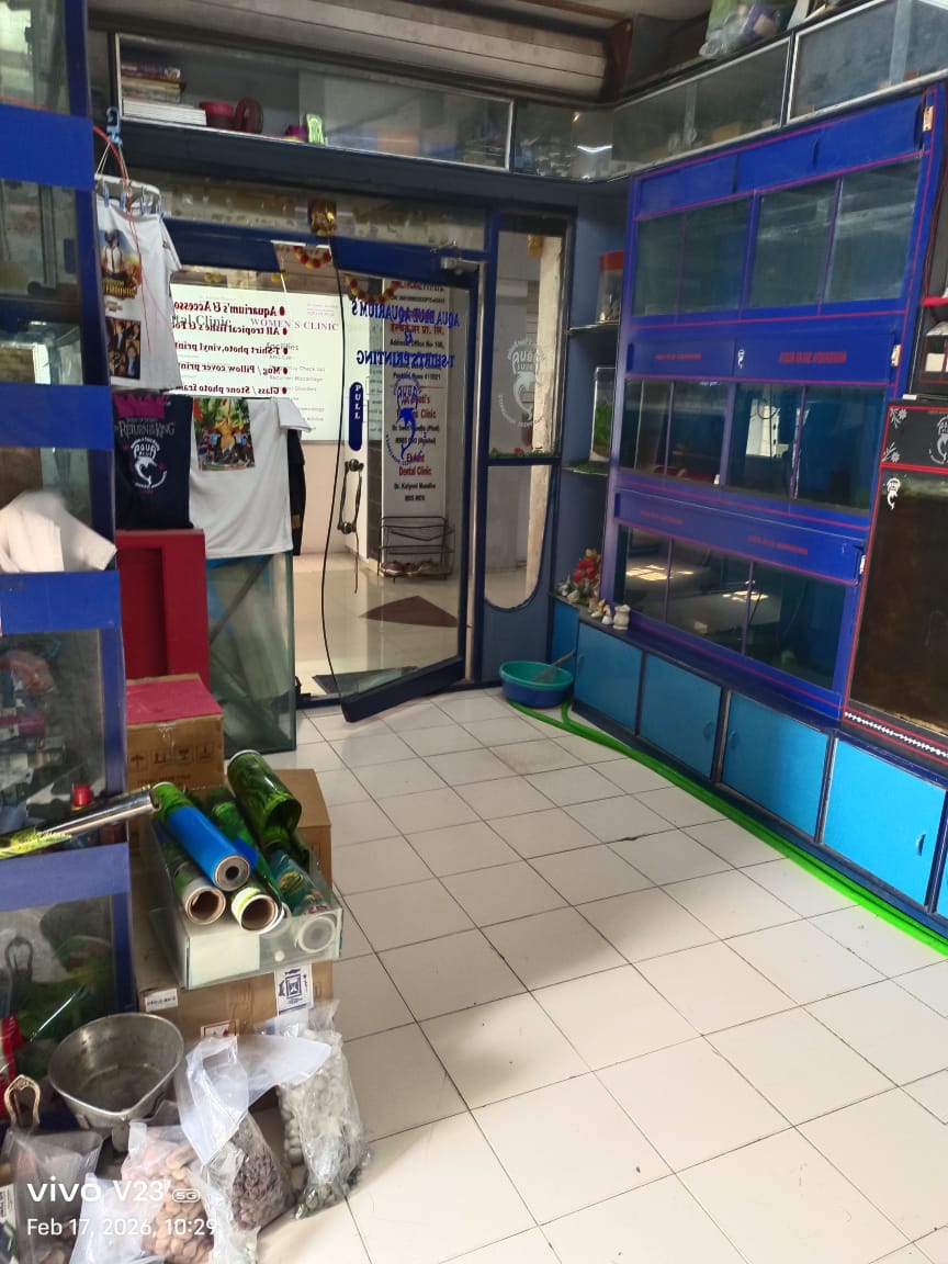 Gallery Image 6