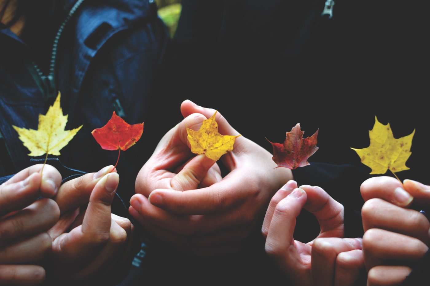 Persone che tengono in mano foglie autunnali di vari colori