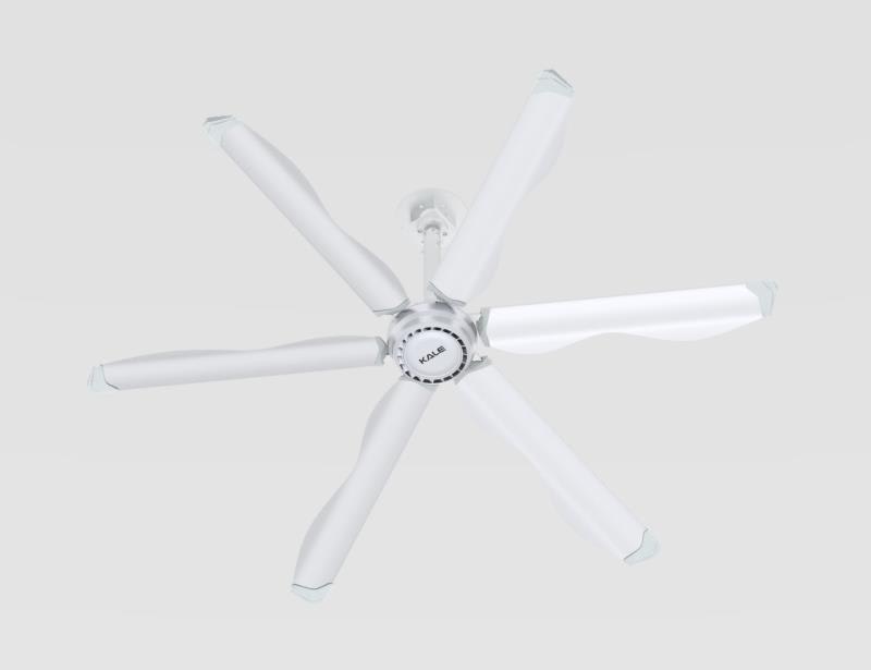 KALE AIR COOL KALE AIR COOL