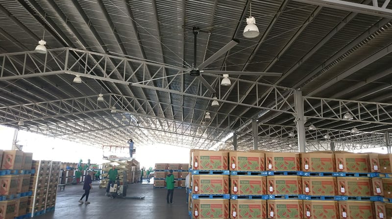 202033919215140 Quạt trần công nghiệp Zephyrus 4.9m 5