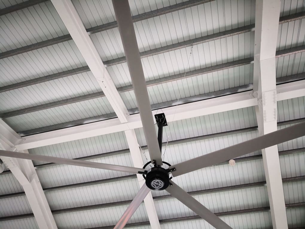 QUẠT TRẦN CÔNG NGHIỆP HVLS TRONG CÁC TRANG TRẠI 34 quạt trần công nghiệp