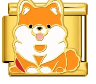 Charm Italiano Perro Pomerania Dorado — vista 2