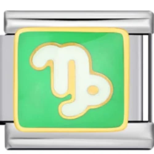 Charm Italiano Capricornio Verde Plateado