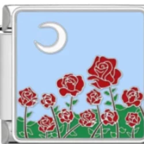 Charm Italiano Rosas y Luna Plateado
