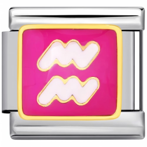 Charm Italiano Signo Acuario Rosa Plateado