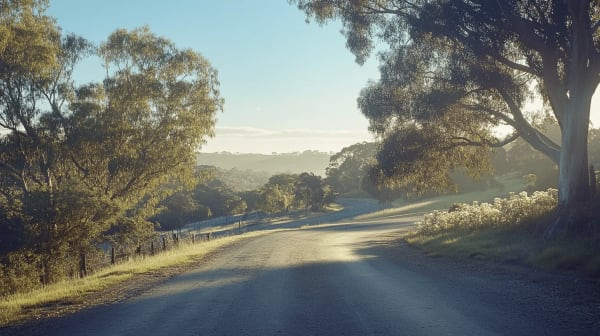 Barossa Valley eSIM illustration