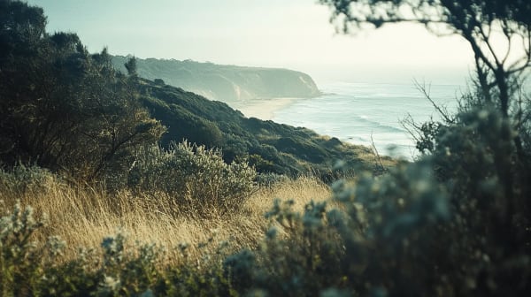 Great Ocean Road eSIM illustration