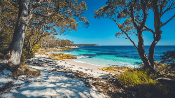 Jervis Bay eSIM illustration