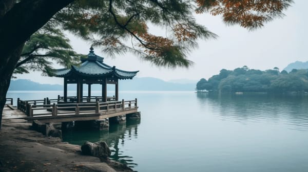 Hangzhou eSIM illustration