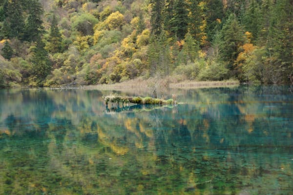 Jiuzhaigou eSIM illustration