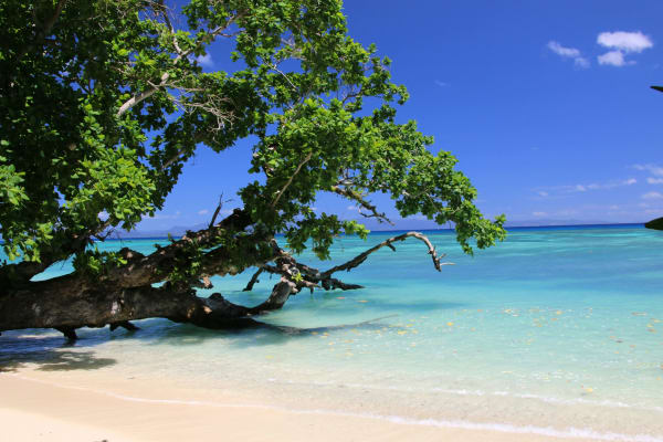 Taveuni Island eSIM illustration