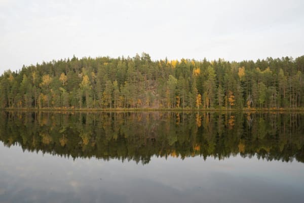 Kouvola eSIM illustration