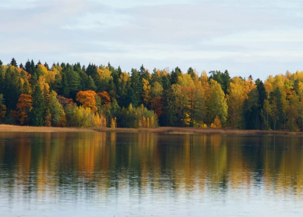 Loviisa eSIM illustration