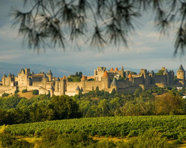 Carcassonne eSIM illustration