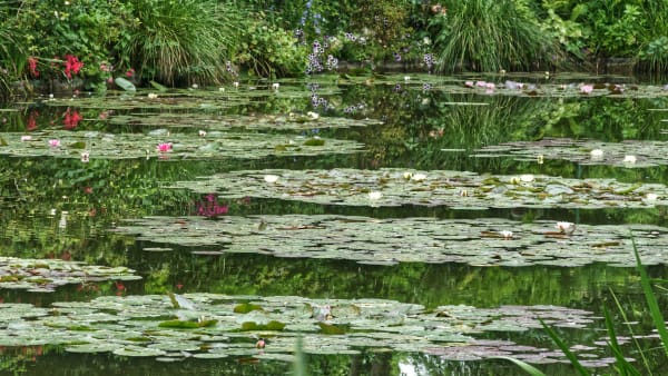 Giverny eSIM illustration
