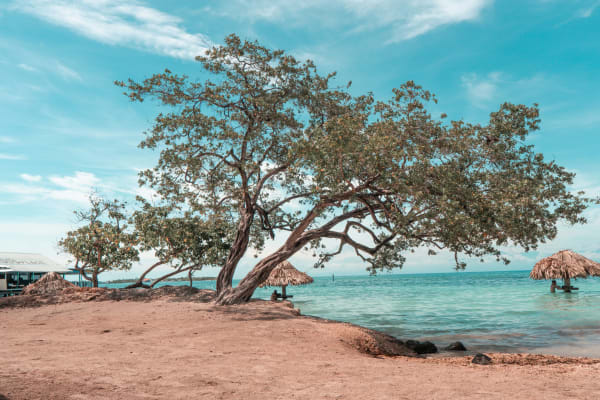 Utila eSIM illustration