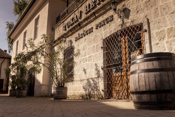 Tokaj eSIM illustration
