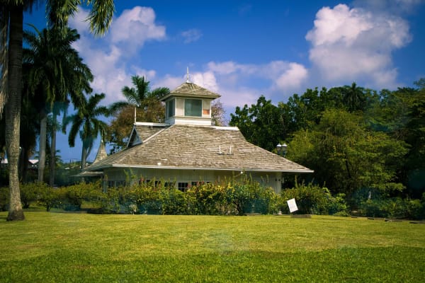 Port Antonio eSIM illustration