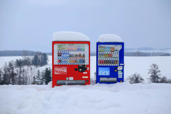 Asahikawa eSIM illustration