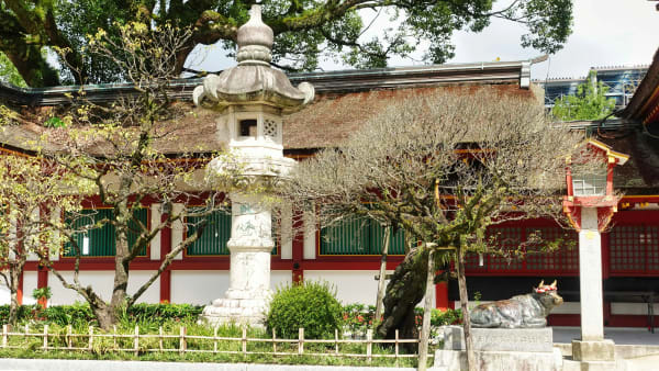Dazaifu eSIM illustration