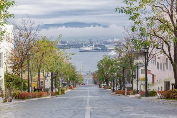 Hakodate eSIM illustration