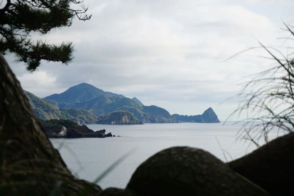 Izu Peninsula eSIM illustration