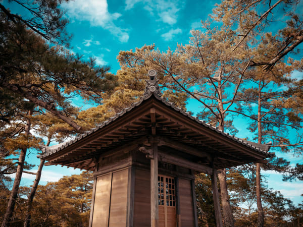 Matsushima eSIM illustration