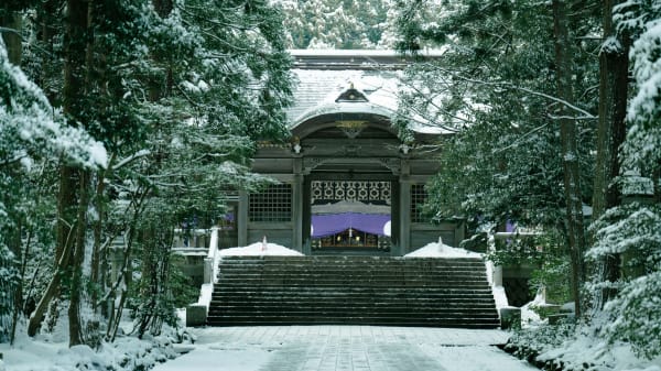 Niigata eSIM illustration