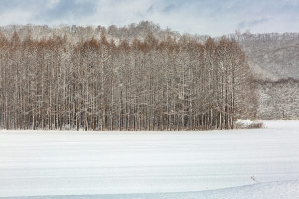 Niseko eSIM illustration